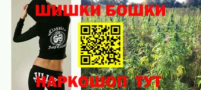 тгк Бердск
