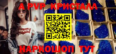 тгк Бердск