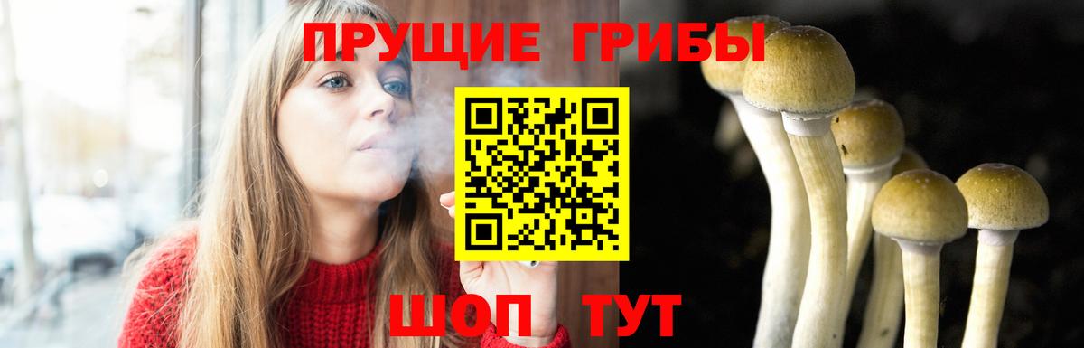 Галлюциногенные грибы ЛСД  закладка  Дмитров  Псилоцибиновые грибы Psilocybe  Вход с VPN 
